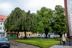 IMG_2393