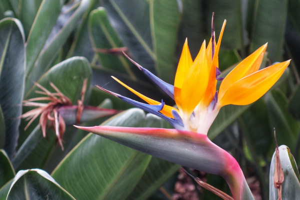 DSC03300-01