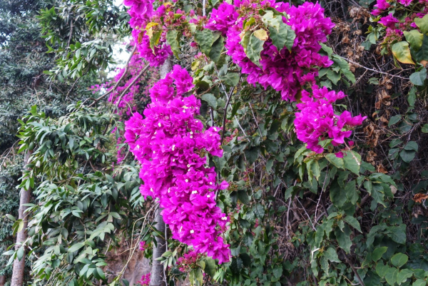 DSC03322-01