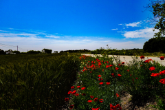 PSX_20190508_162810
