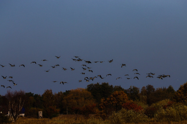 TBO_20221030_165255