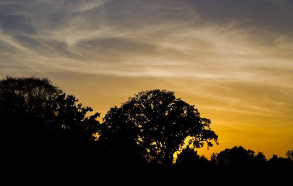 TBO_20221030_165728