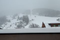 IMAG0658