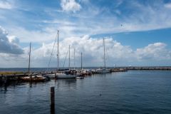 DSC02919