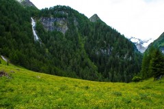 DSC04806