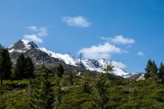 DSC05018