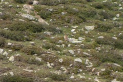 DSC05119