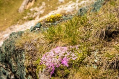 DSC05460