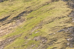 DSC05620
