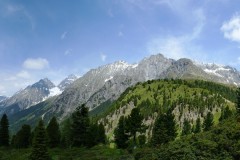 Panorama1