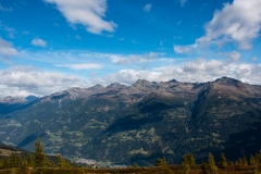 IMG_1361