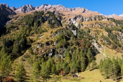 IMG_1886