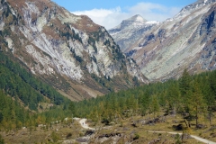 P9300095
