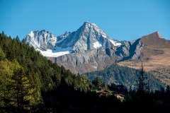 IMG_3775