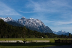 IMG_5059