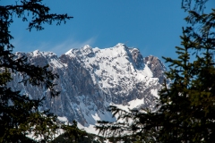 IMG_5115