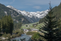 DSC01600