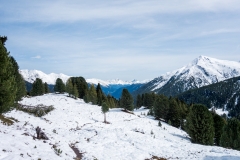 DSC01619