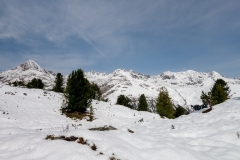DSC01620