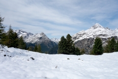 DSC01630