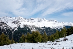 DSC01636