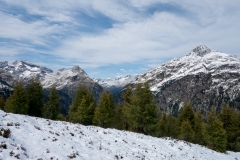 DSC01639