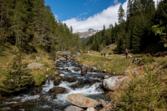 IMG_6001