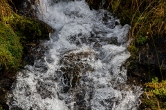 IMG_6027