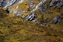 IMG_6680