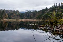 DSC01960