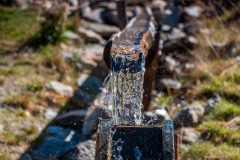 IMG_0349