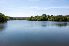 IMG_9731