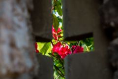 IMG_9793