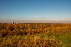 IMG_1269