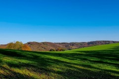 20201031_141653