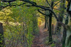20201031_142530