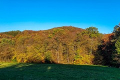 20201031_151609