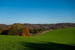 DSC03110