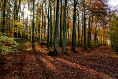 IMG_1444