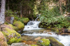 IMG_0729