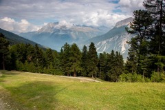 IMG_0753