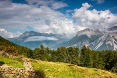 IMG_0755