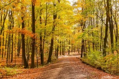 20201103_114115