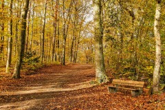 20201103_121654