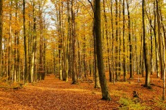 20201103_140935
