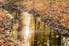 20201103_150443_2
