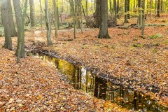20201103_150529