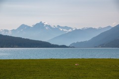 IMG_0041