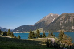 IMG_0157