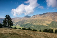 IMG_0614